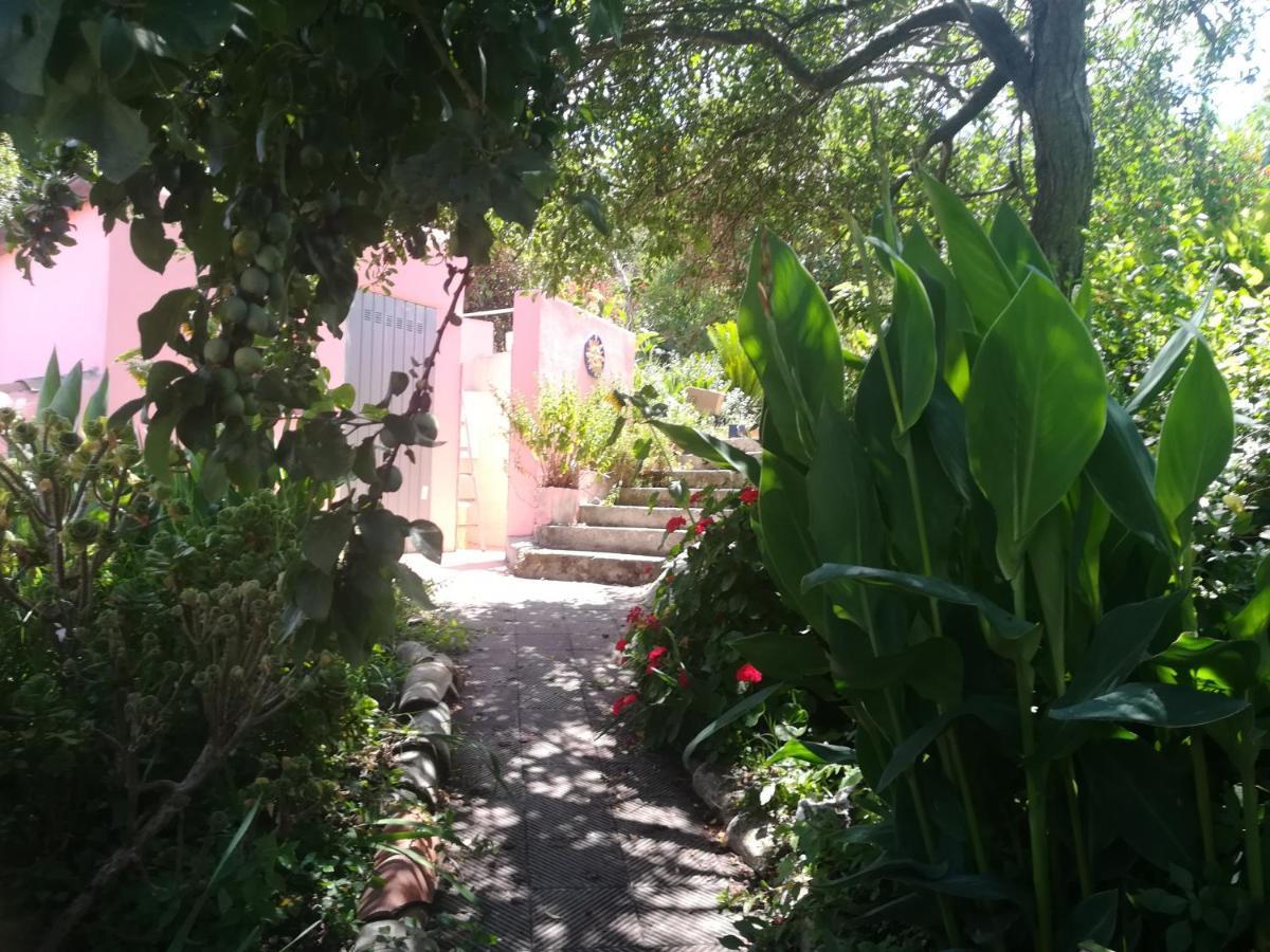 Affitta Camere Casa Delle Rose Villanova Monteleone Экстерьер фото